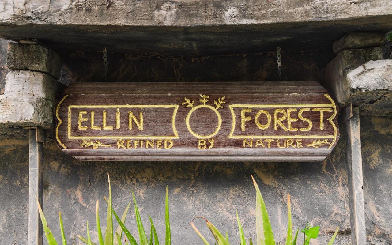 Ellin Forest Karaoke & Pool Resort Bukit Tinggi Bentong Ngoại thất bức ảnh